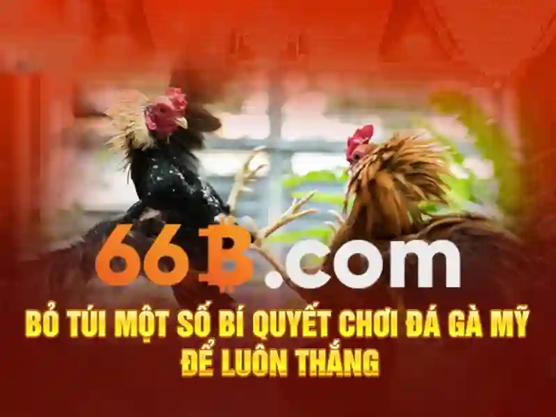 66B – Truy Cập Không Bị Chặn Cho Người Chơi SLOT - 66B