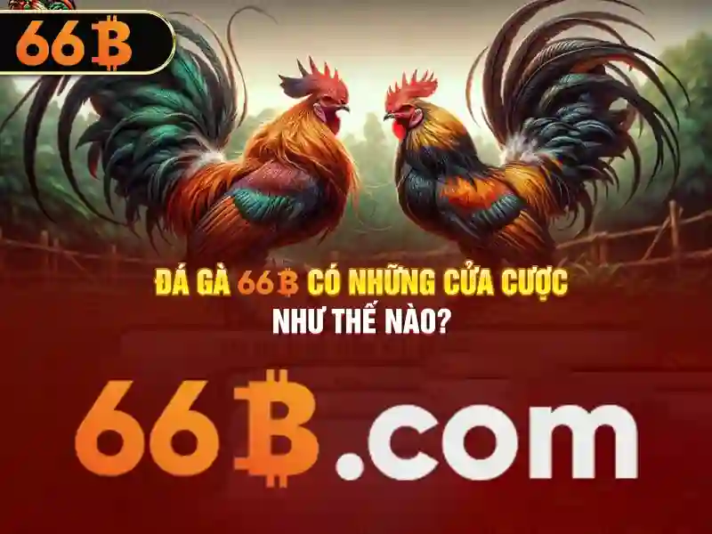 66b: Chiến lược cược trực tuyến an toàn và tối ưu cho SEO