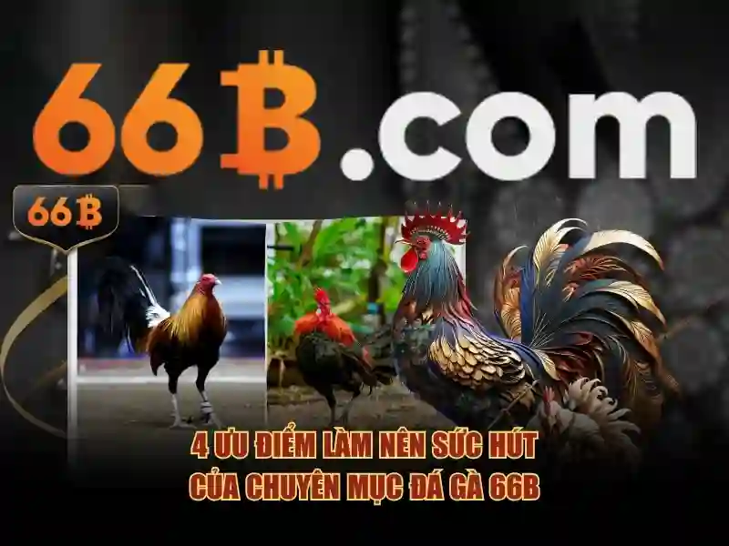 cài đặt 66B - 66B