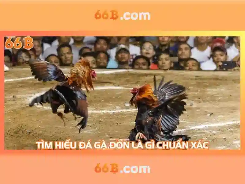 66B – Trải Nghiệm Slot Đỉnh Cao Với 66B Mới và Bảo Mật Tuyệt Đối - 66B