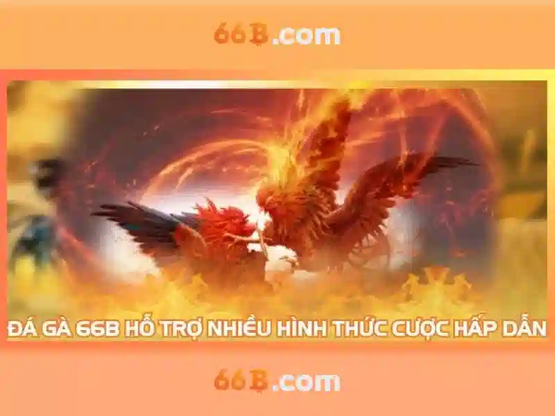 66B ✅ Trang Chủ 66B.COM Tặng Ưu Đãi Lô Đề 66B 2026 - 66B