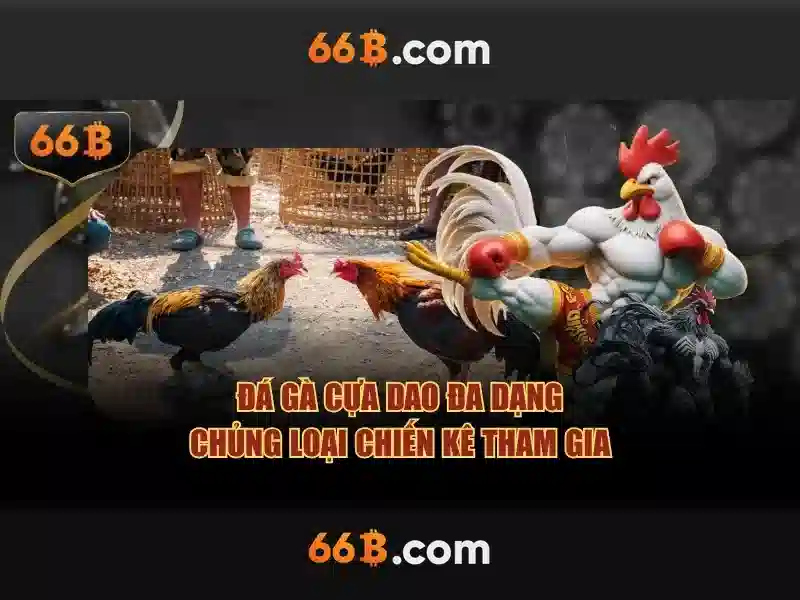 66B - 66B