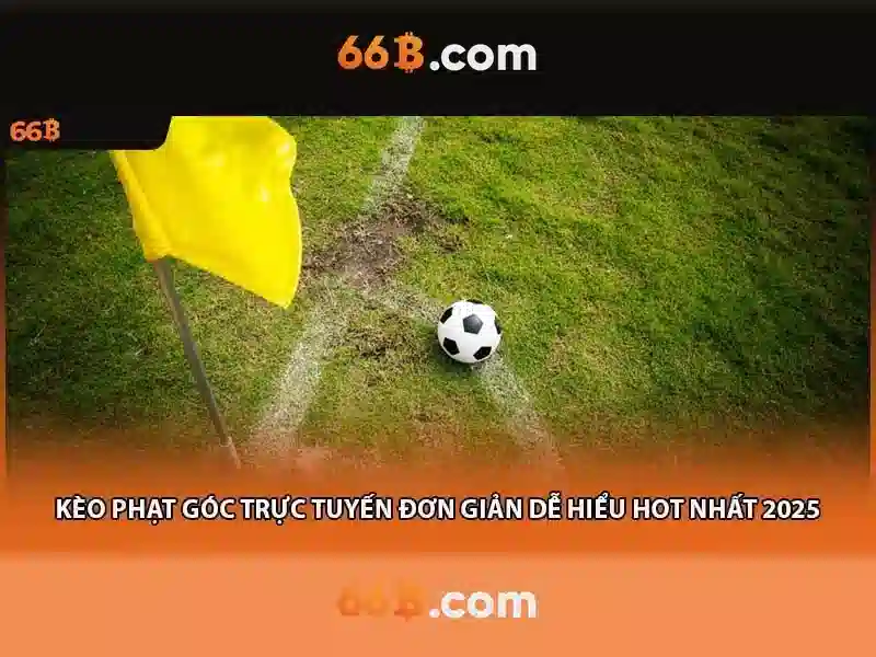  điều khoản điều kiện 66b - 66B