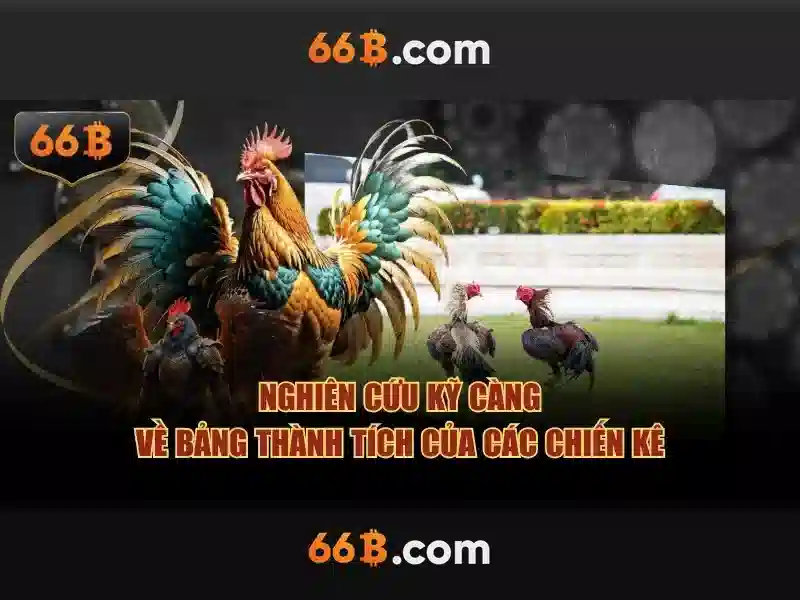 đẳng cấp - 66B