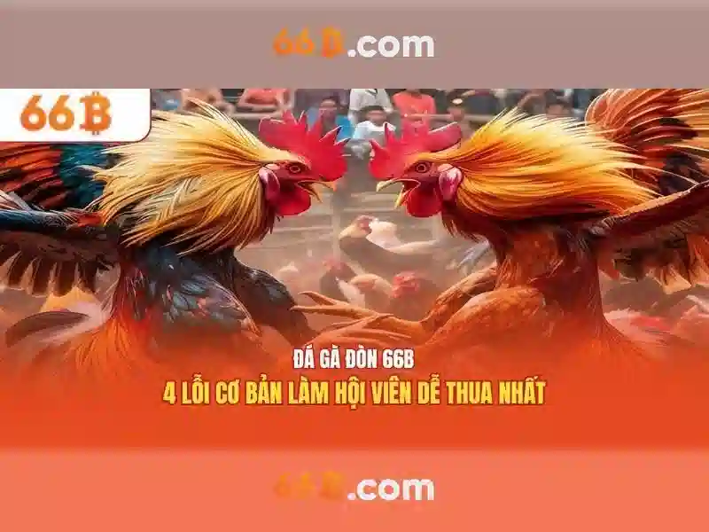 hướng dẫn đăng ký 66B - 66B