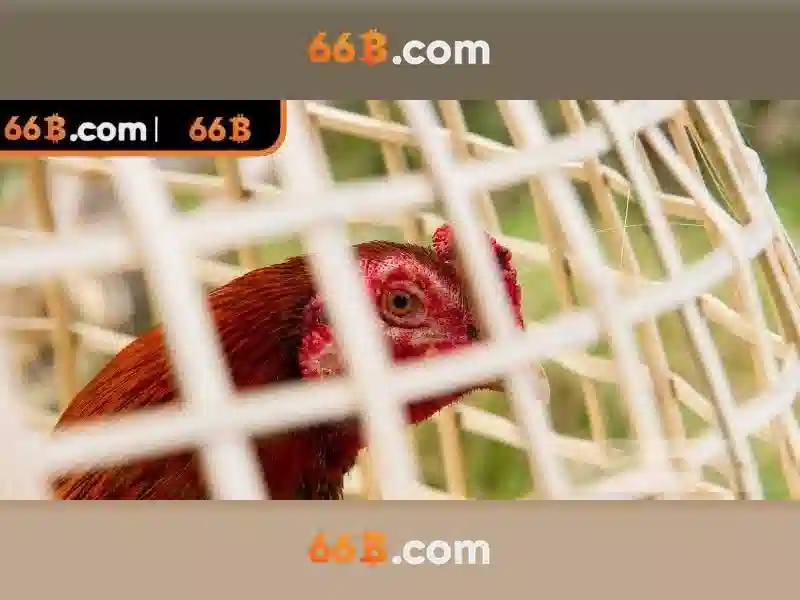 66B Slot – Giao Dịch 66B Đỉnh Cao Trong Ngành Slot 2026 - 66B