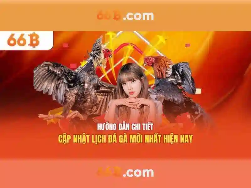  trải nghiệm cá cược - 66B