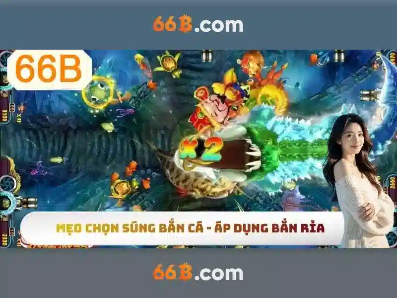  hỗ trợ 66b - 66B
