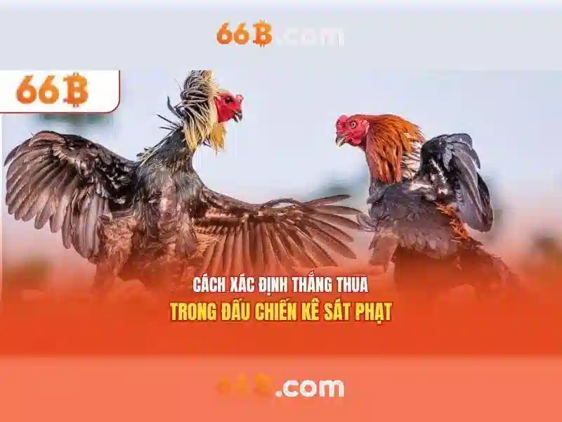  Ưu đãi 66B - 66B