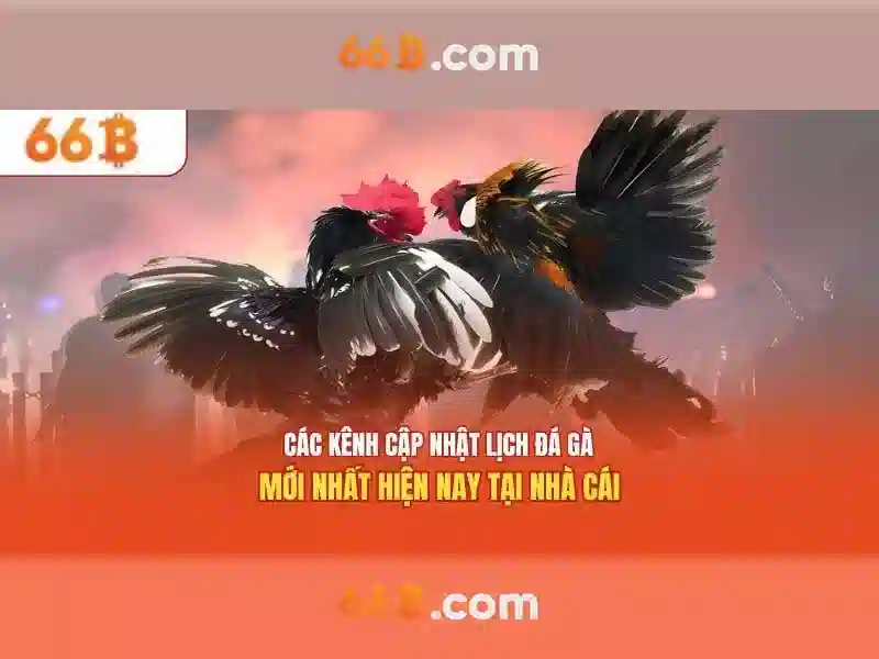  app chơi slot - 66B