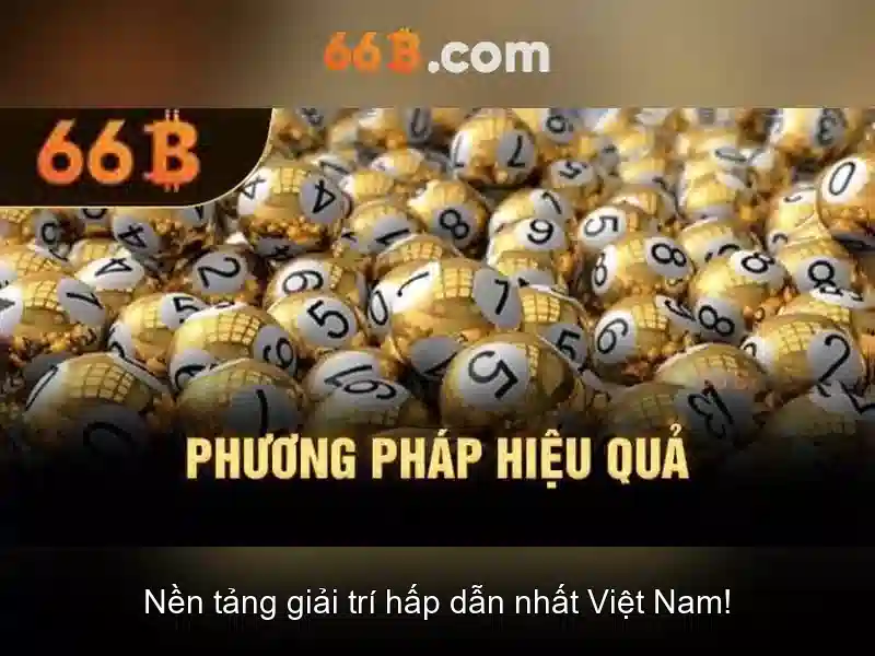  hỗ trợ khách hàng - 66B