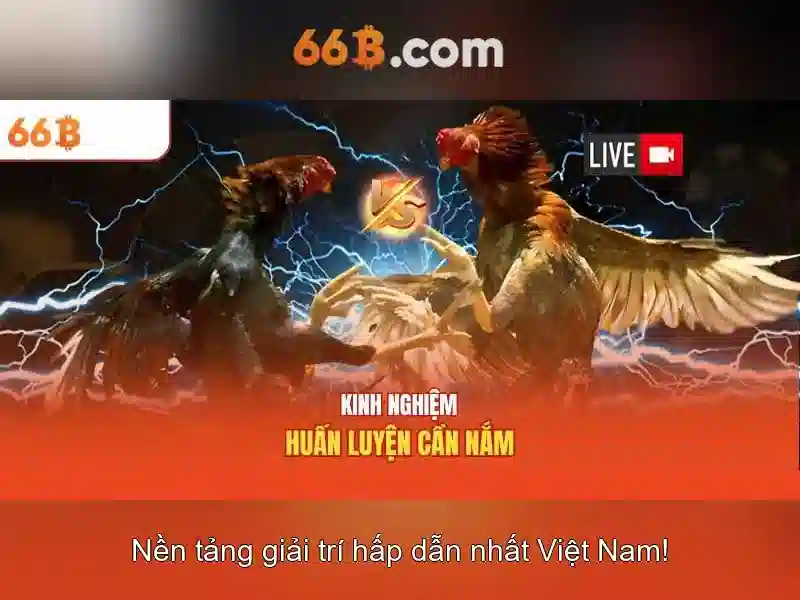 Hướng Dẫn Giải Quyết Lỗi Quên Mật Khẩu 66B - Ưu Đãi Slot Hấp Dẫn - 66B