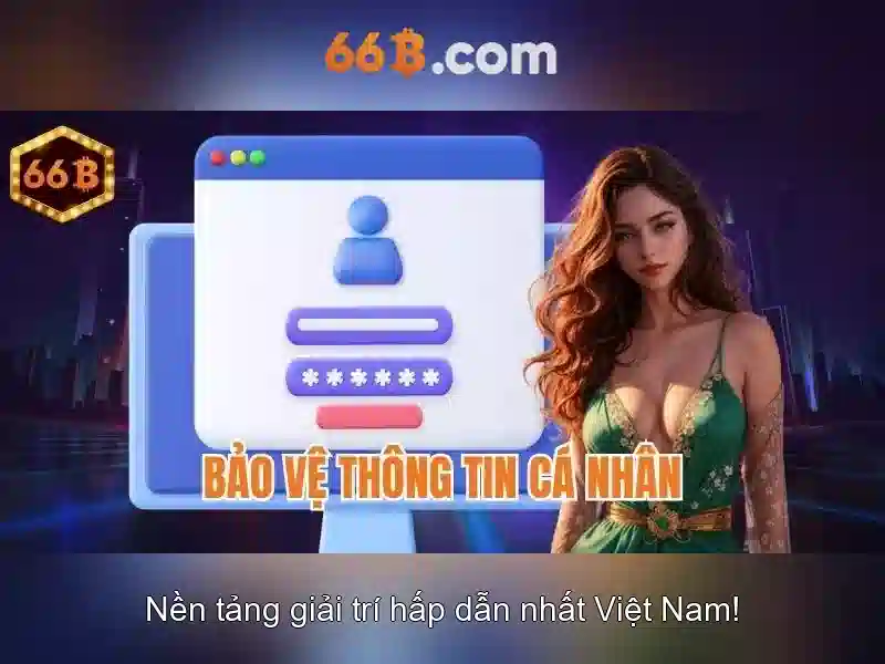  giấy phép hoạt động - 66B