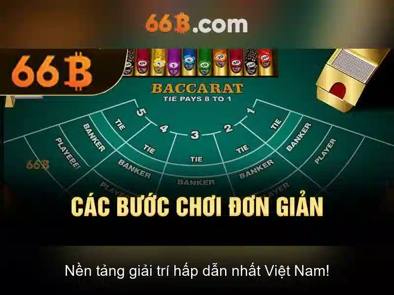  hỗ trợ 24/7 - 66B