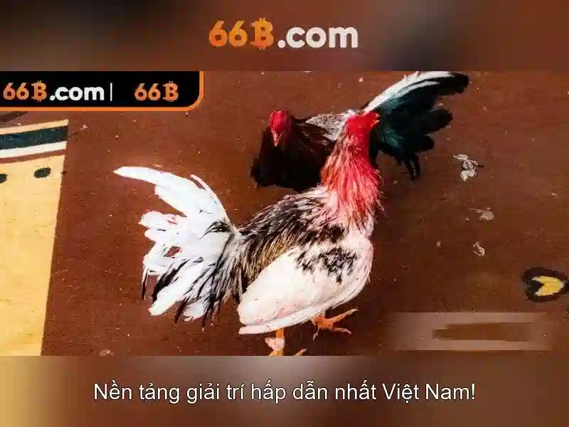  66B chính chủ - 66B