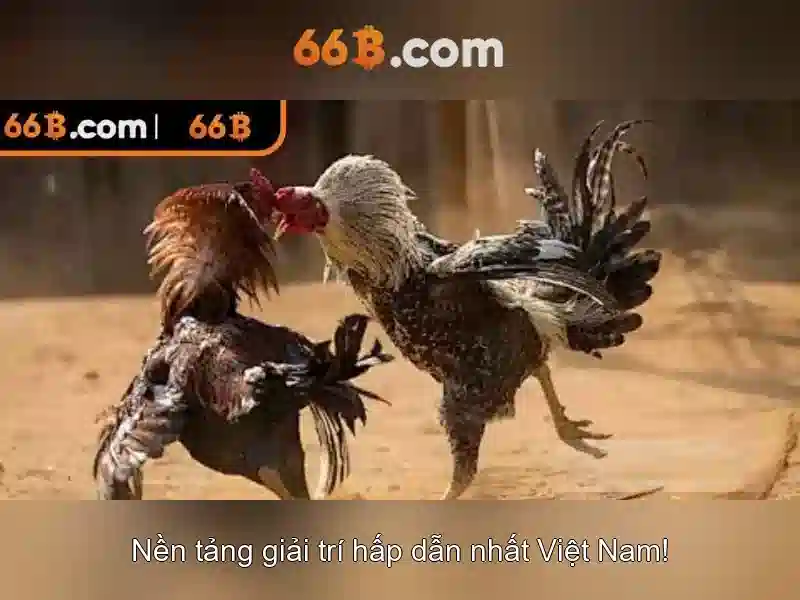 khuyến mãi bắn cá - 66B