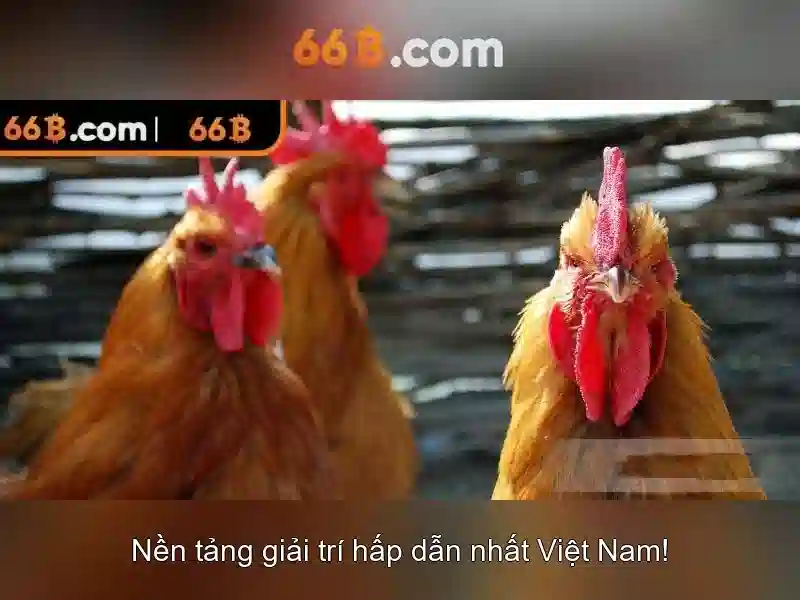 66b: Chiến lược cược trực tuyến an toàn và tối ưu cho SEO