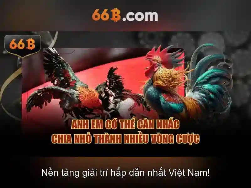  vui chơi - 66B