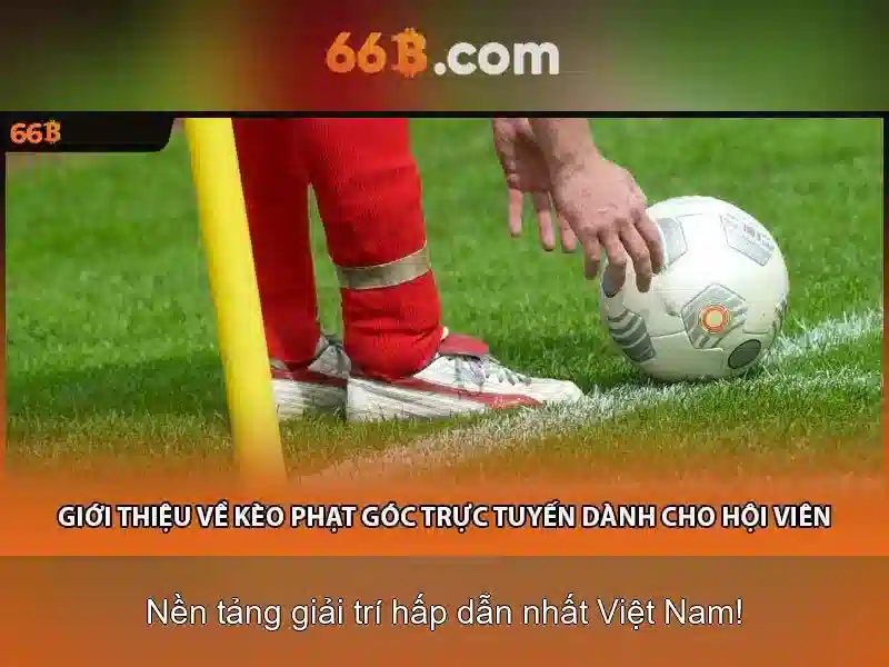 Luật Chơi Bài Catte 66B Chuẩn Cho Newbie Cùng Chuyên Gia - 66B