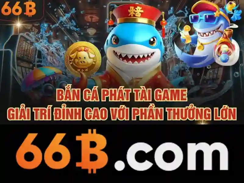  liên hệ 66B 2026 - 66B